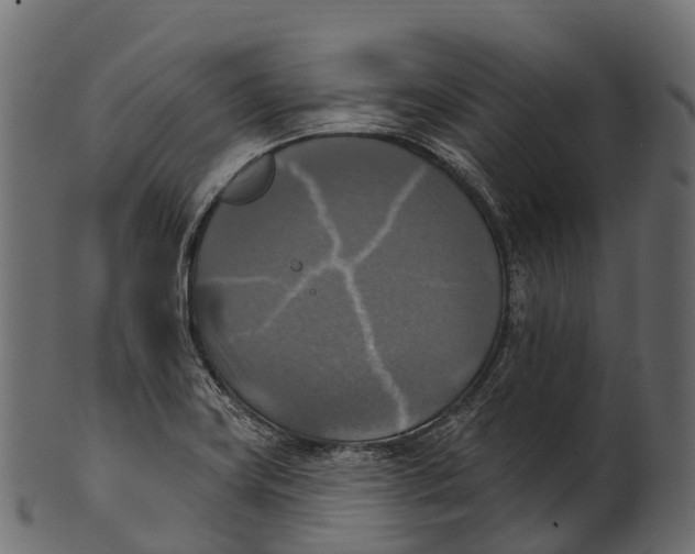 X0000100501419200807031929