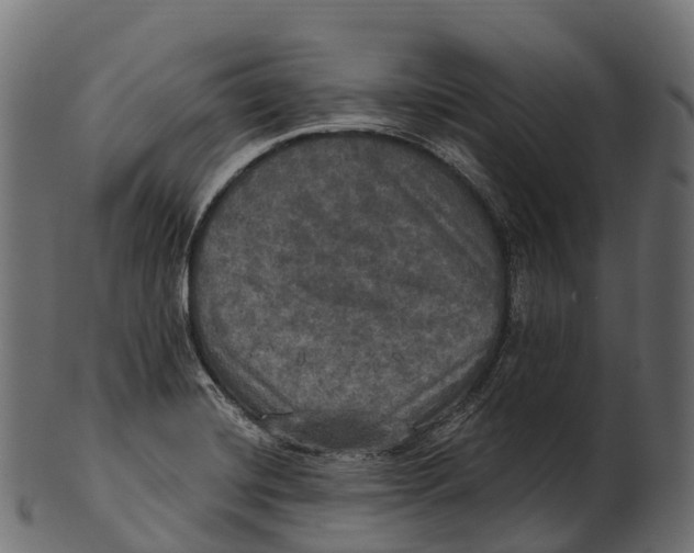 X0000100501420200807031929