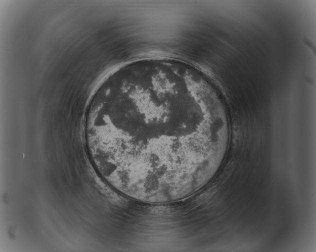 X0000100501421200807031929