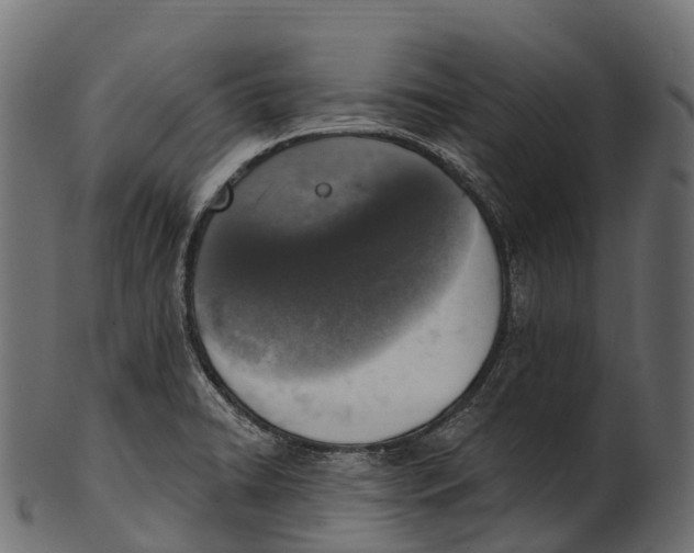 X0000100501422200807031929