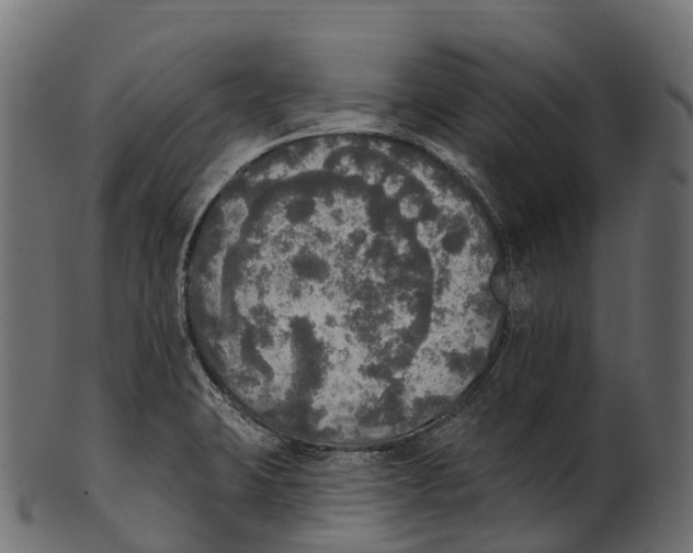 X0000100501423200807031929