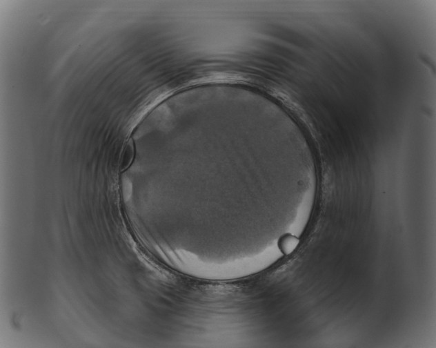 X0000100501425200807031929