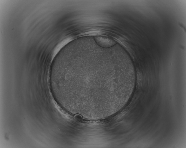 X0000100501426200807031929