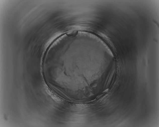 X0000100501427200807031929