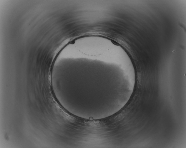 X0000100501428200807031929