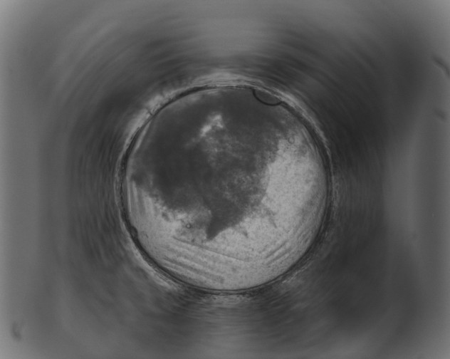 X0000100501429200807031929