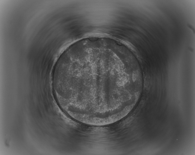 X0000100501430200807031929