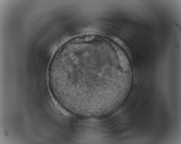 X0000100501431200807031929