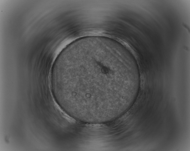 X0000100501432200807031929