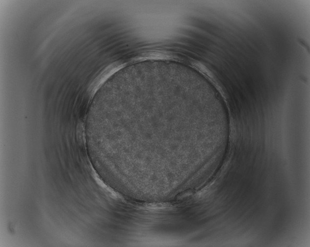 X0000100501433200807031929