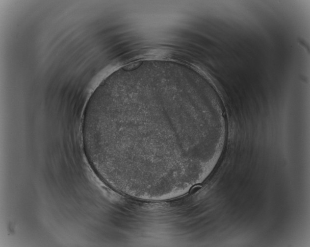 X0000100501434200807031929