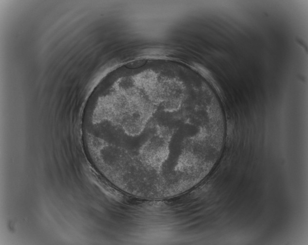 X0000100501435200807031929