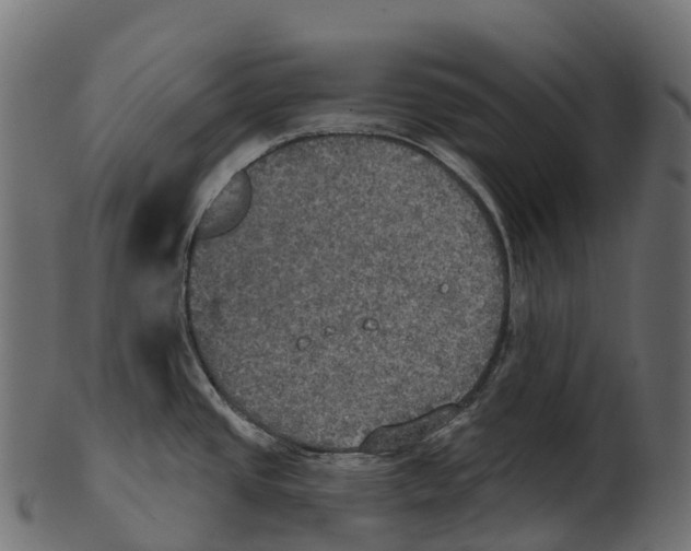 X0000100501437200807031929