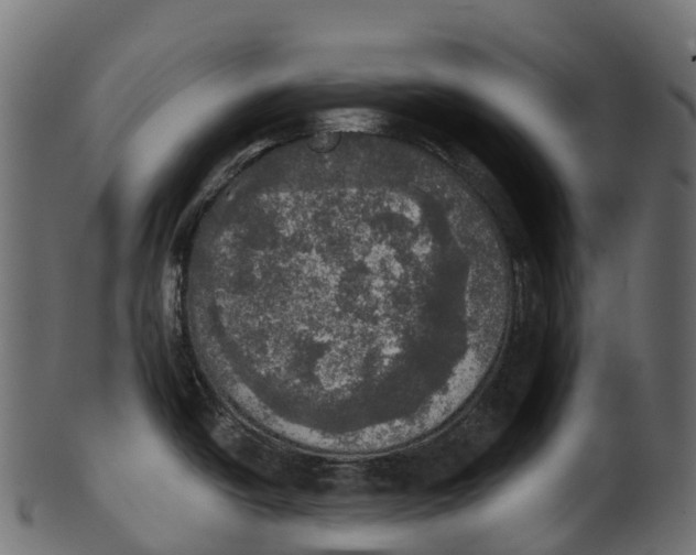 X0000100501438200807031929