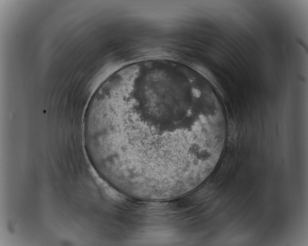 X0000100501439200807031930