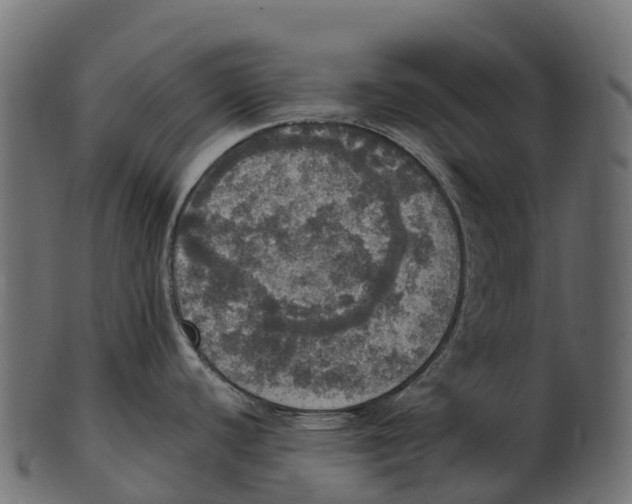 X0000100501440200807031930