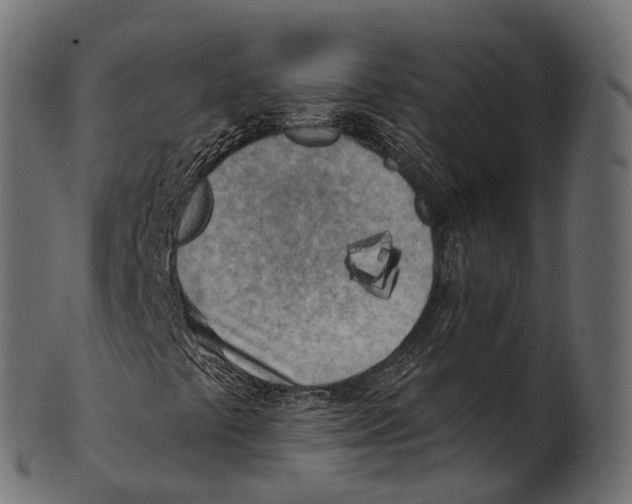 X0000100501441200807031929