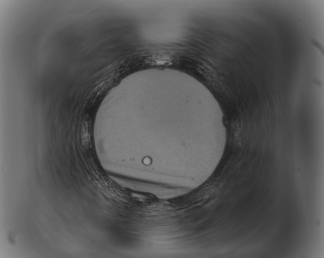 X0000100501442200807031929