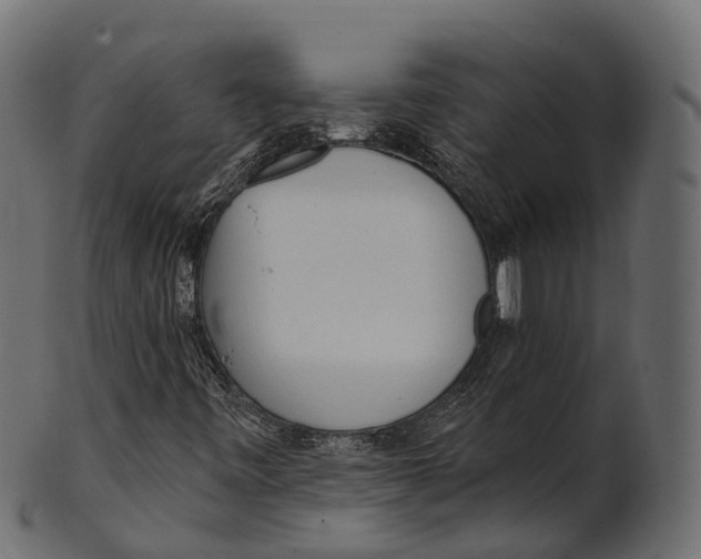 X0000100501443200807031929