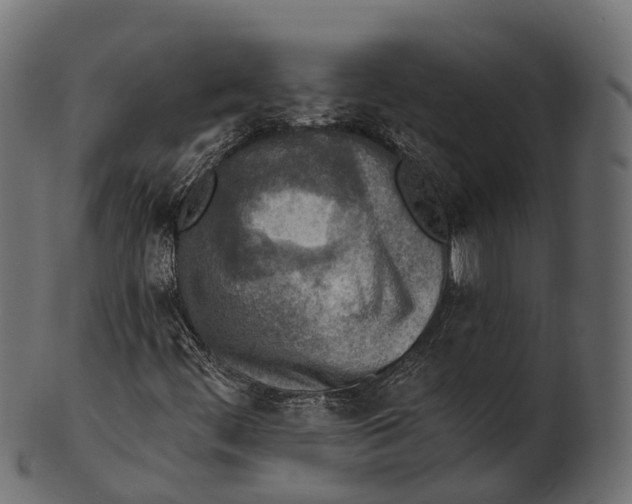 X0000100501444200807031929