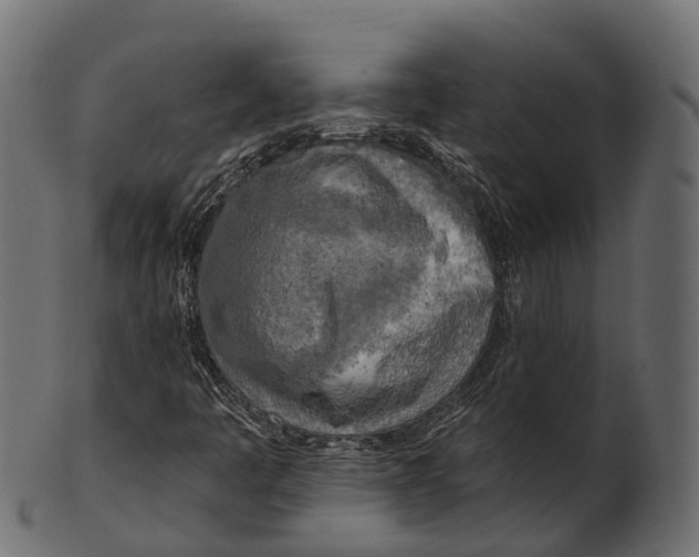 X0000100501445200807031929