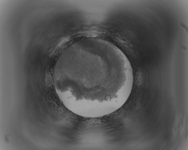 X0000100501446200807031929