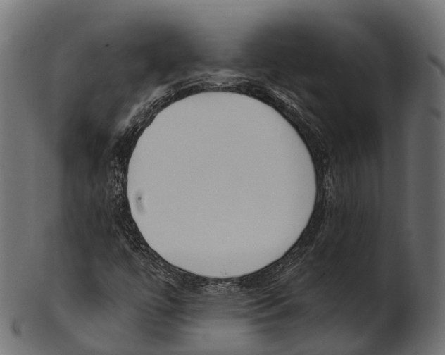 X0000100501447200807031929