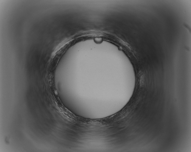 X0000100501448200807031929