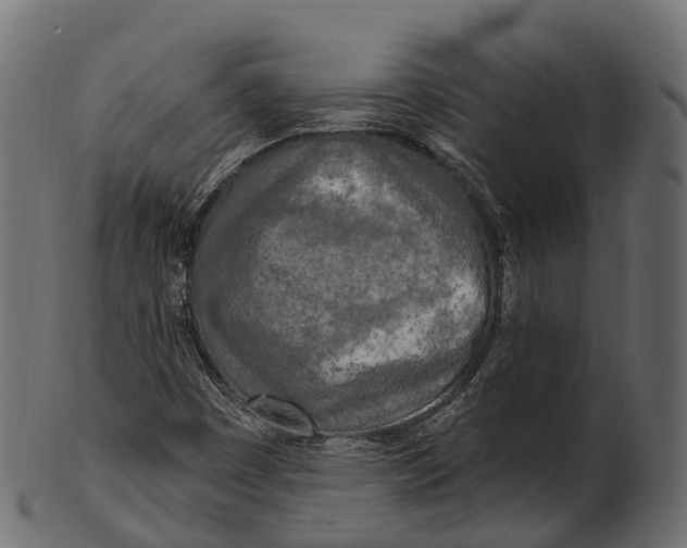 X0000100501449200807031929