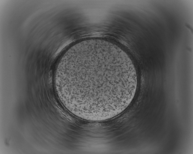 X0000100501450200807031929