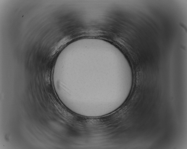 X0000100501451200807031929