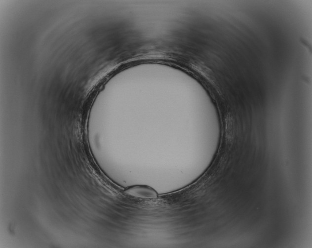 X0000100501452200807031929