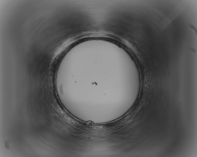 X0000100501456200807031929