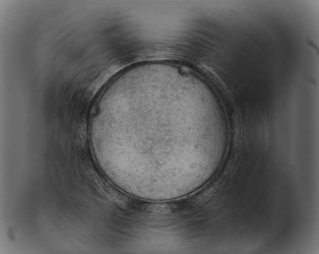 X0000100501457200807031929