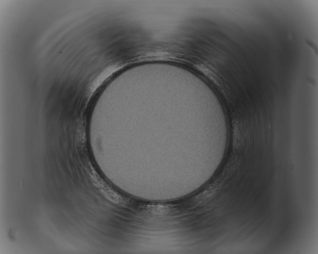 X0000100501458200807031929