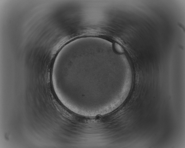 X0000100501459200807031929