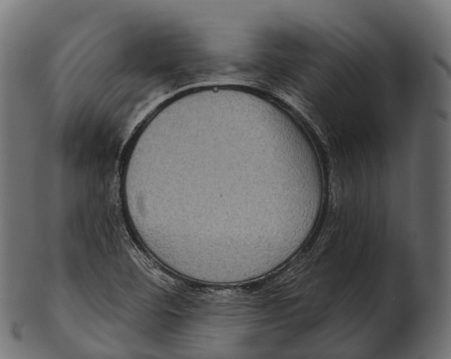 X0000100501460200807031929