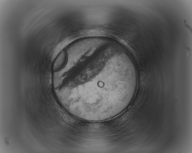 X0000100501461200807031928