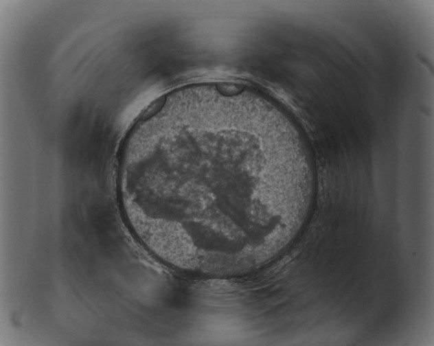 X0000100501463200807031928