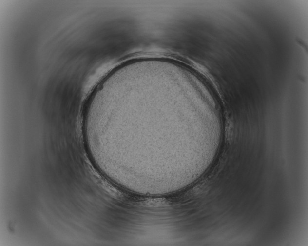 X0000100501464200807031928