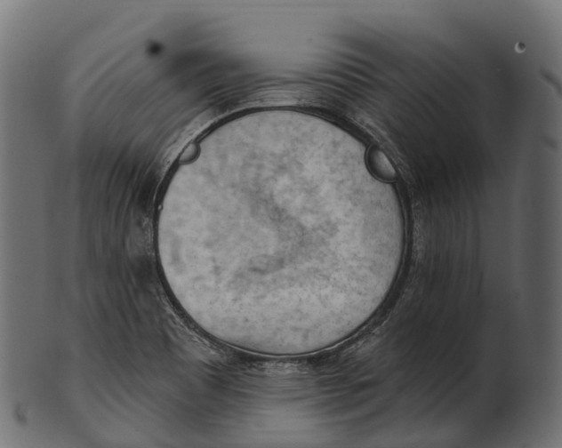 X0000100501465200807031928