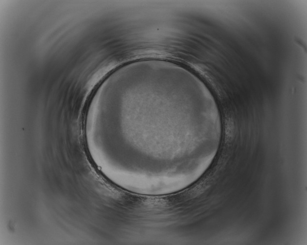 X0000100501466200807031928