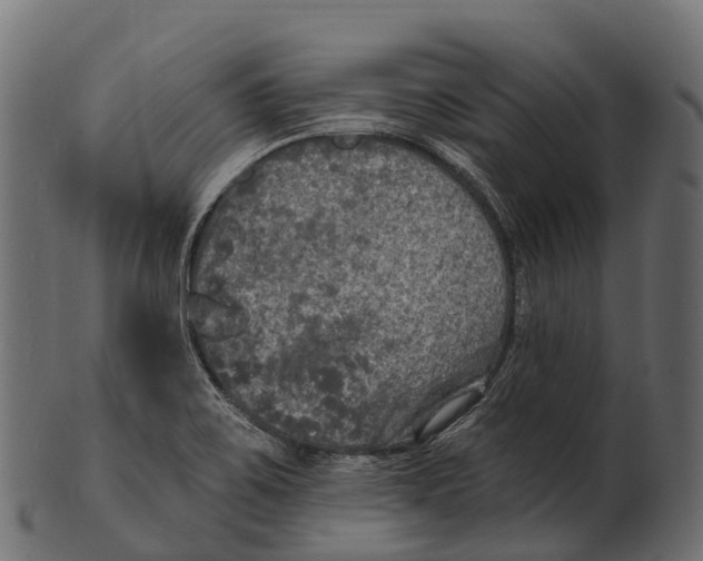 X0000100501467200807031928