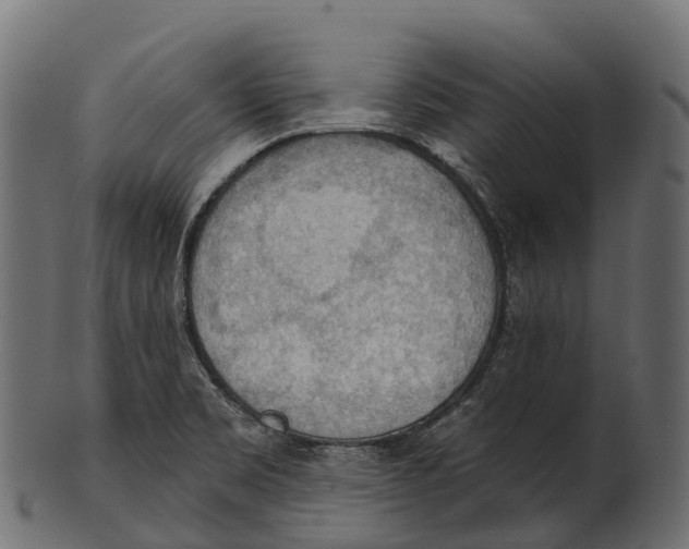 X0000100501469200807031928