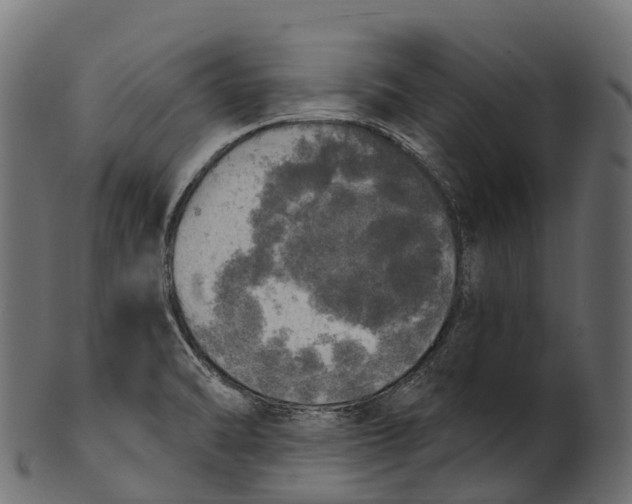 X0000100501470200807031928