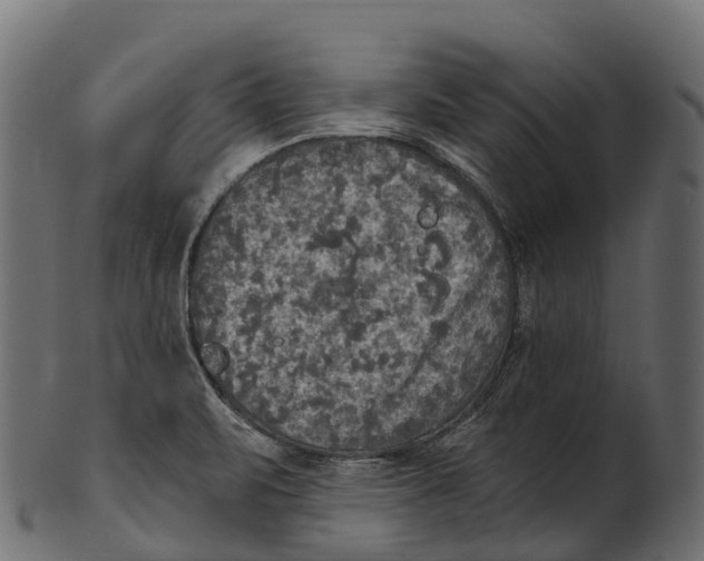 X0000100501471200807031928