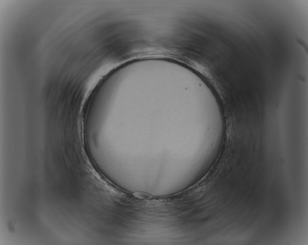 X0000100501472200807031928