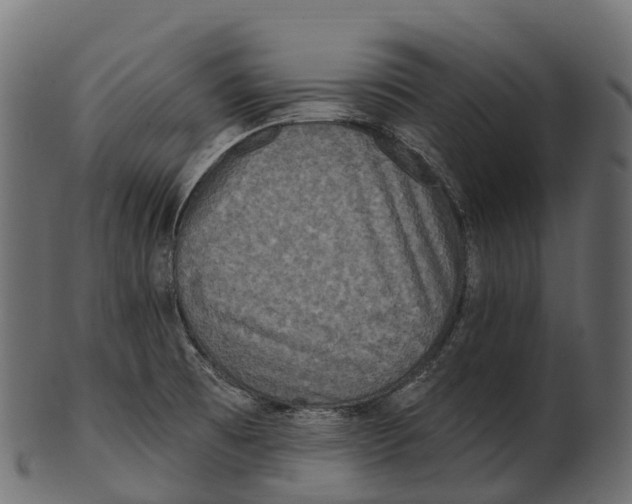 X0000100501473200807031928