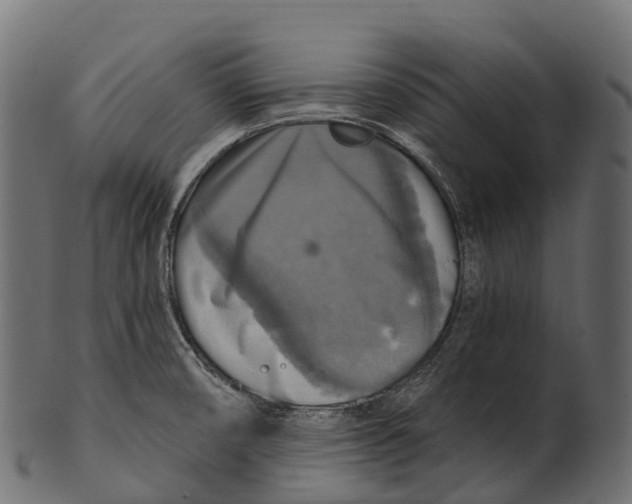 X0000100501474200807031928