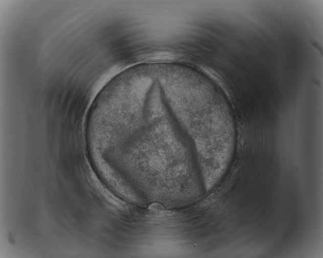 X0000100501475200807031928